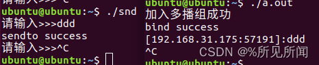 基于udp协议的组播