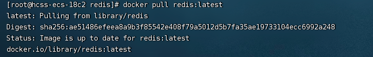 ![[imgs/pull redis.png]]