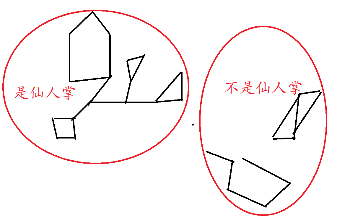 刺猬仙人掌