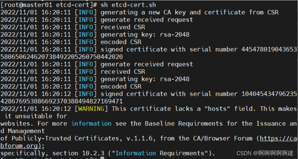 K8S二进制部署之定义CA证书与ETCD_etcd docker 部署ca证书-CSDN博客