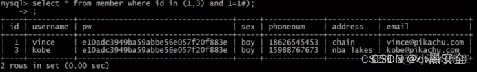 [ 漏洞挖掘基础篇四 ] 漏洞挖掘之 SQL 注入挖掘_安全漏洞_11