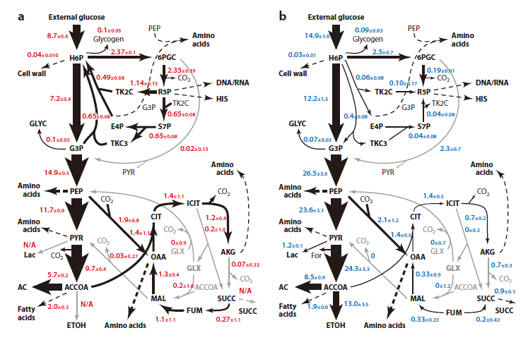 代谢工程：过去和未来（MIT综述）_对代谢工程未来的看法-CSDN博客