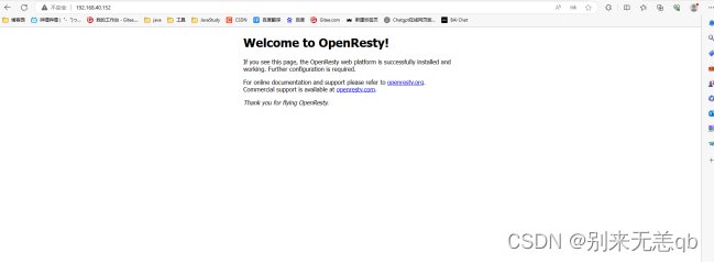 Openresty（Nginx）内网安装，手把手详细教学+附安装包