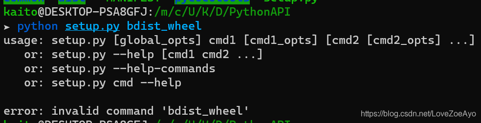 Fixing Issues With Python Setup.Py Bdist_Wheel Execution