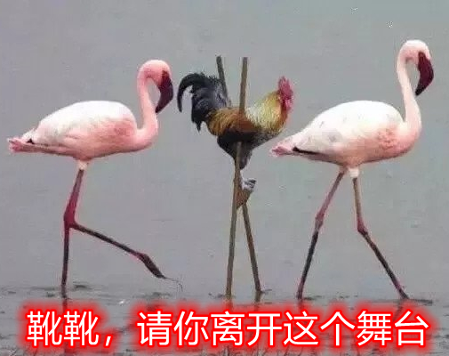 20210730git常用指令