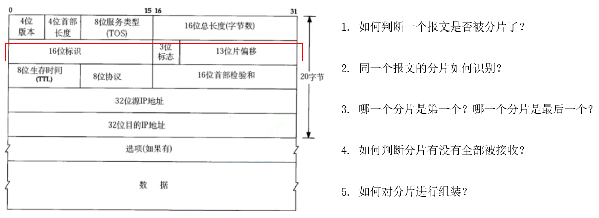 【Linux后端服务器开发】IP协议