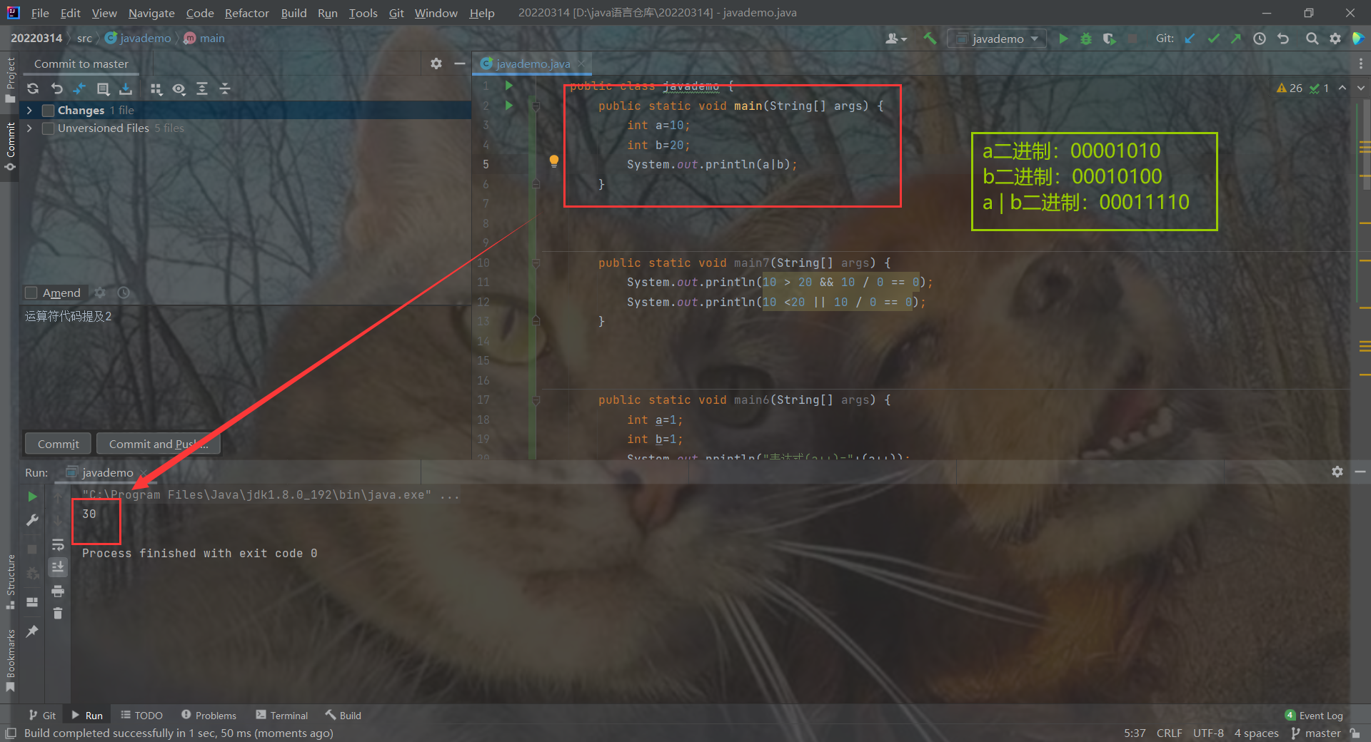 在这里插入图片描述