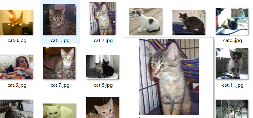 第3例 基于卷积神经网络AlexNet的猫狗分类_用与3x224x224图片分类的cnn网络-CSDN博客