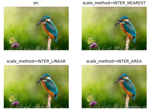 Insertar descripción de la imagen aquí