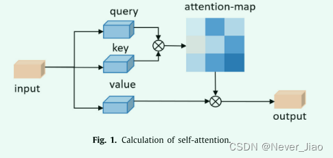 Fig.1