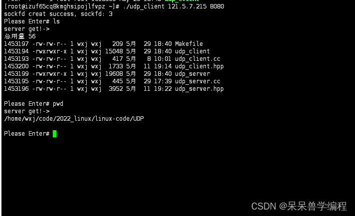 【Linux篇】第十八篇——网络套接字编程（一）（预备知识+UDP套接字的编写）