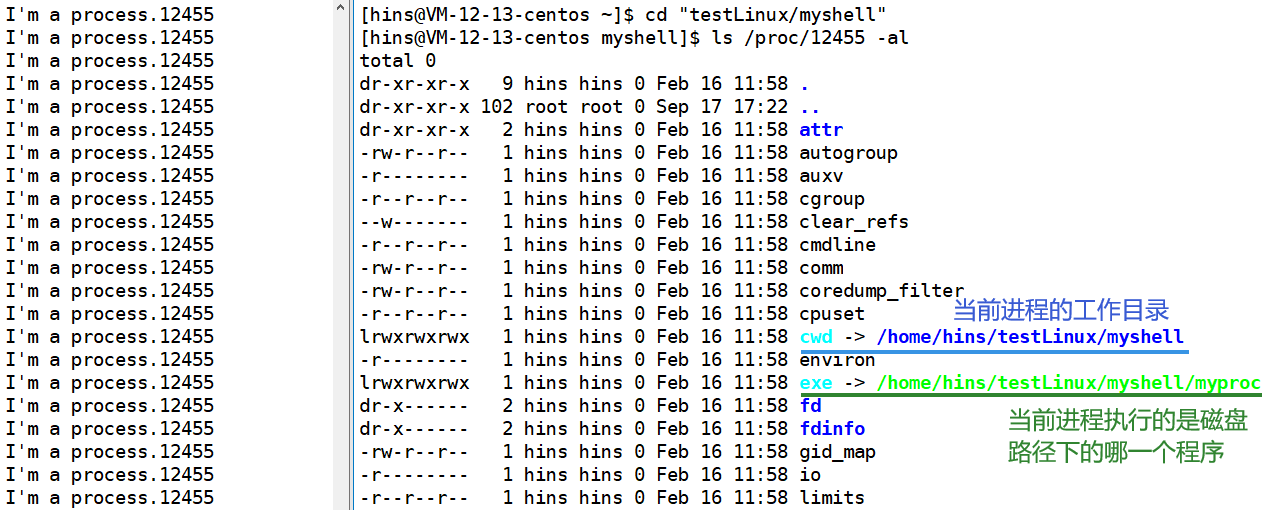 【Linux详解】——进程控制（创建、终止、等待、替换）