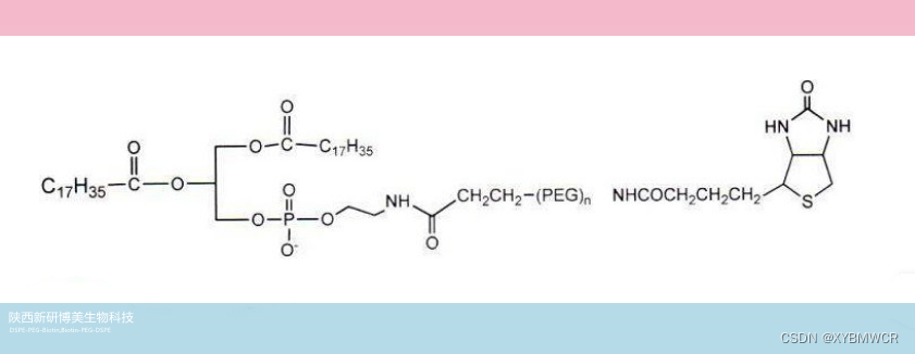 CAS:385437-57-0,DSPE-PEG-Biotin,Biotin-PEG-DSPE,磷脂-聚乙二醇-生物素试剂供应