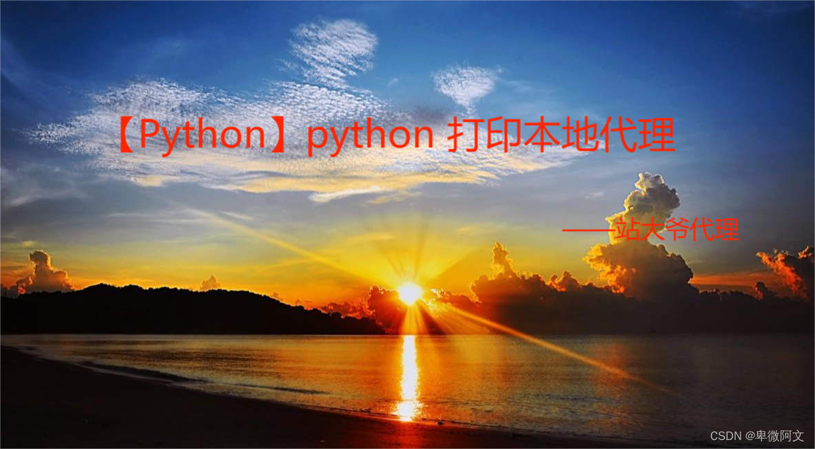 【Python】python 打印本地代理