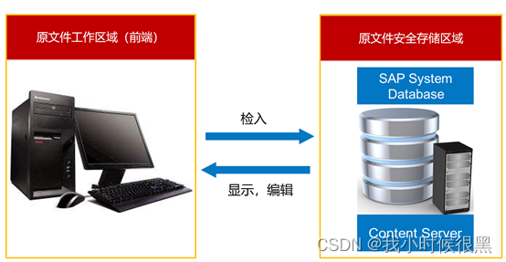 SAP GOS与DMS简介