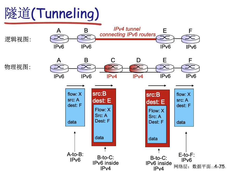 计算机网络 - 网络层的数据平面
