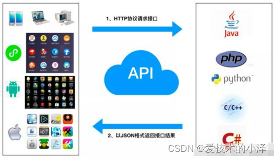 API数据是什么？举例说明，它是电商平台发展的领航者