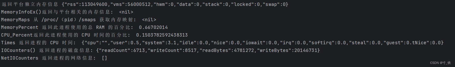 【Golang】探索进程资源监控的精妙细节：利用Gopsutil/Process实现高级进程性能和资源信息监控