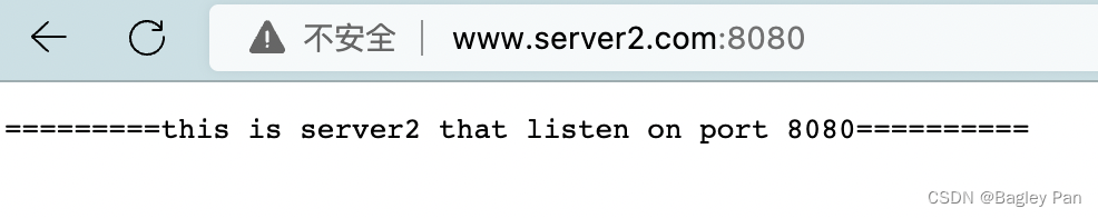 www.server2.com:8080