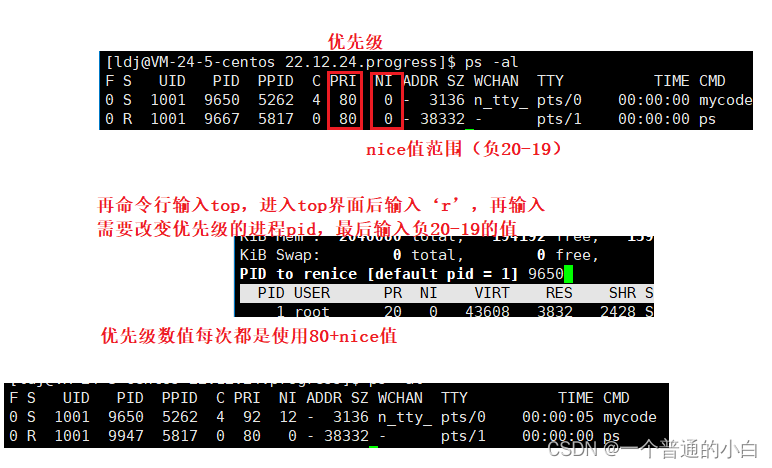 【Linux进程】进程的基本概念，fork的使用，各种状态的含义，孤儿和僵尸进程的含义