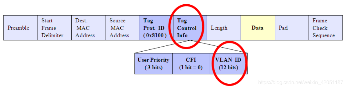 以太网数据帧VLAN Tagging