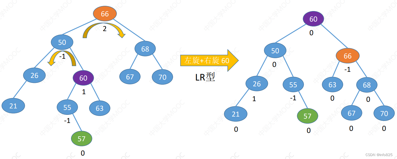 左旋右旋