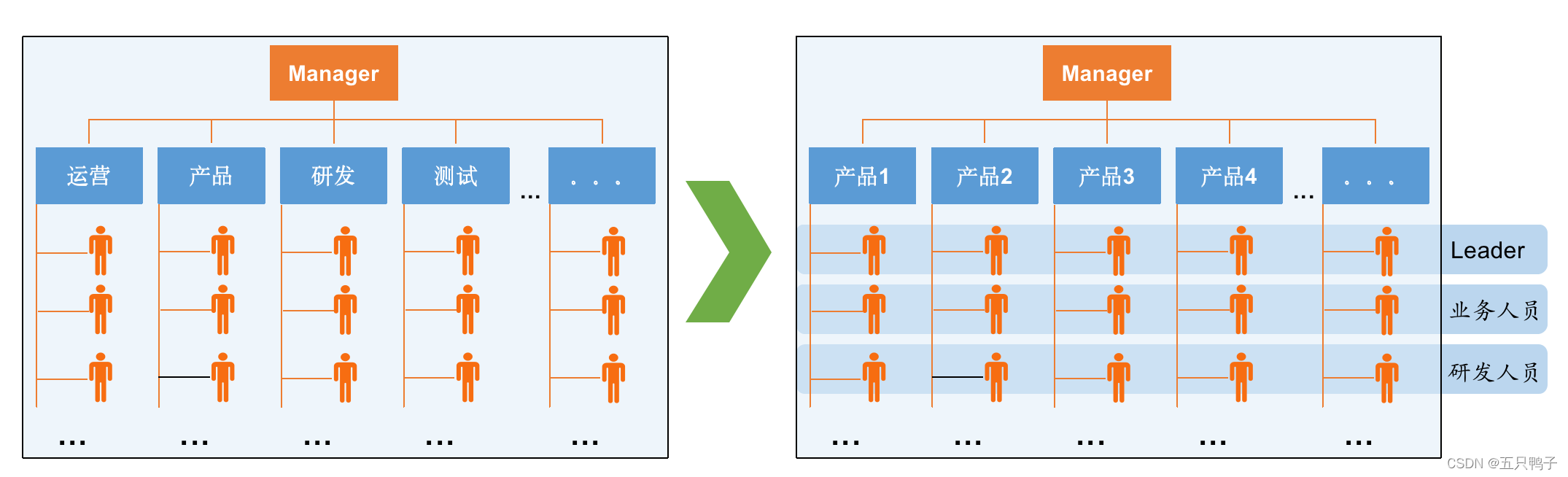 Organizational Structure Transformation