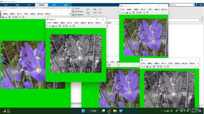数字图像处理第五章题目_对原始图像(chestx.jpeg)按下式所示函数进行频域退化操作: h(u,v) = exp ( -CSDN博客