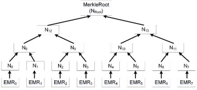 区块链系统中的EMR块