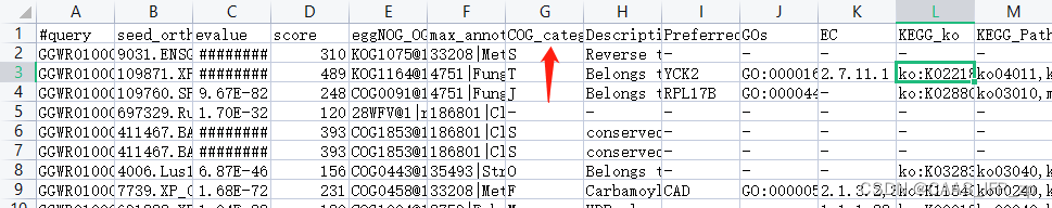 统计eggNOG注释结果中的COG数量种类_eggnog注释功能数量-CSDN博客