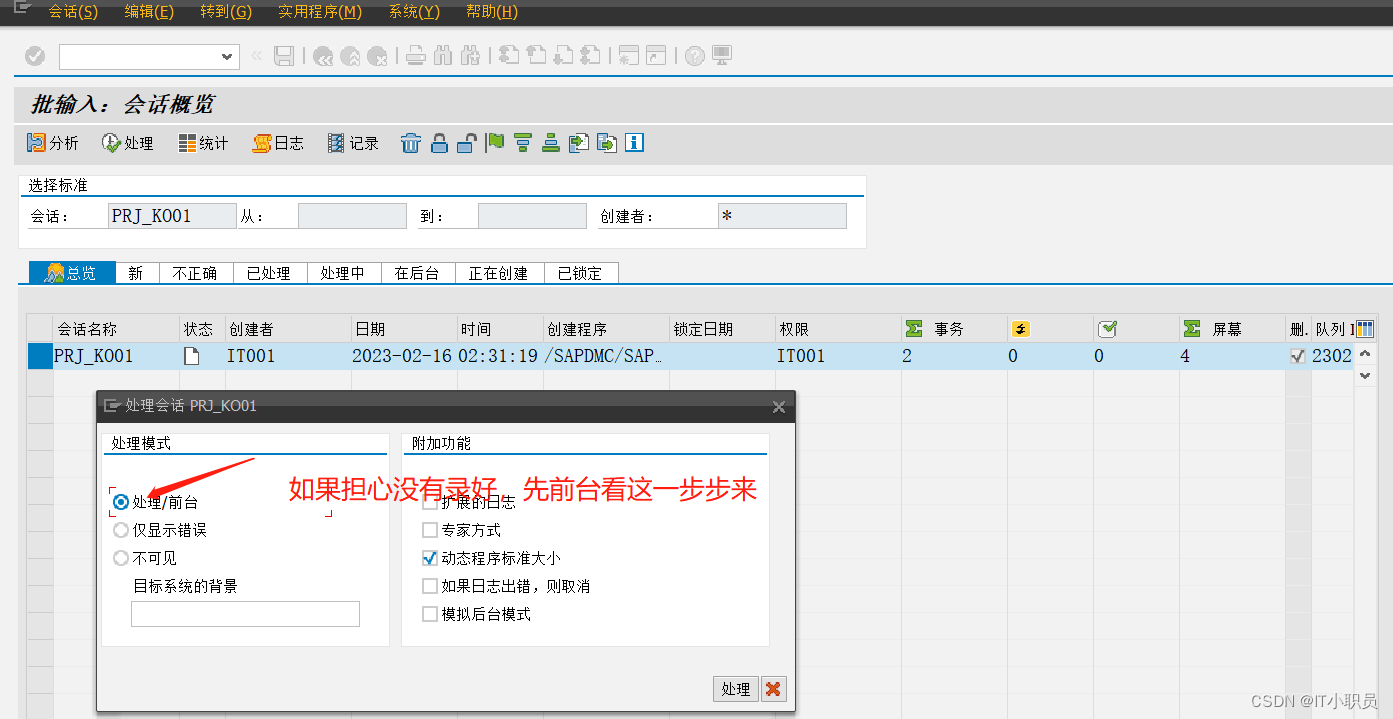 SAP数据导入工具(LSMW) 超级详细教程（批量导入内部订单）