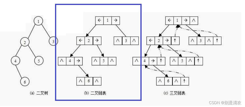 数据结构初阶--树和二叉树的概念与结构