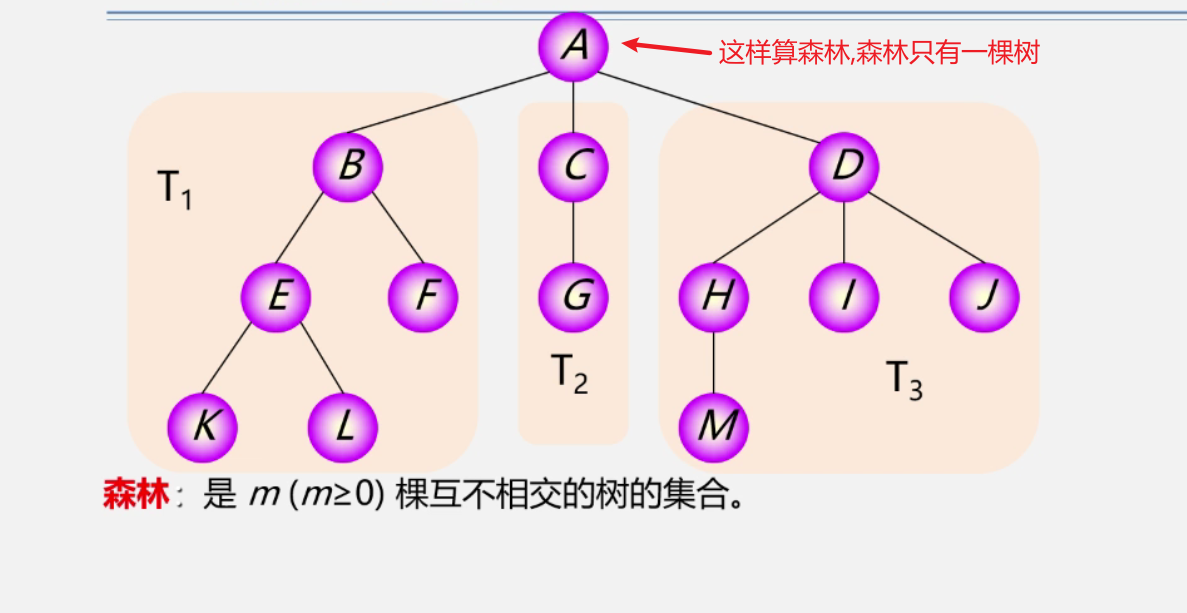 树的基本术语_非终端结点-CSDN博客