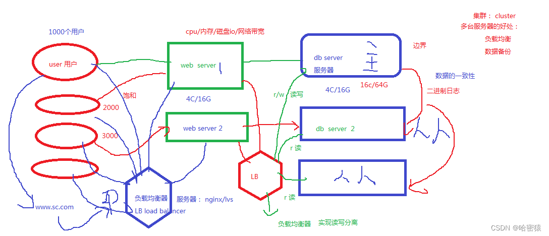 [外链图片转存失败,源站可能有防盗链机制,建议将图片保存下来直接上传(img-fer2W6Dv-1689787496634)(D:\Snipaste\03【电脑截图软件】snipaste截图软件\Typora\mysql\主从复制和集群\主从复制图.png)]