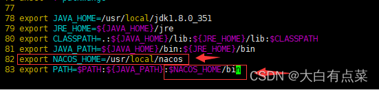 新增一个 NACOS_HOME 环境变量，并在 PATH 变量后面加上“:$NACOS_HOME/bin”。