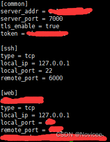 记一次使用frpc/frps进行内网穿透
