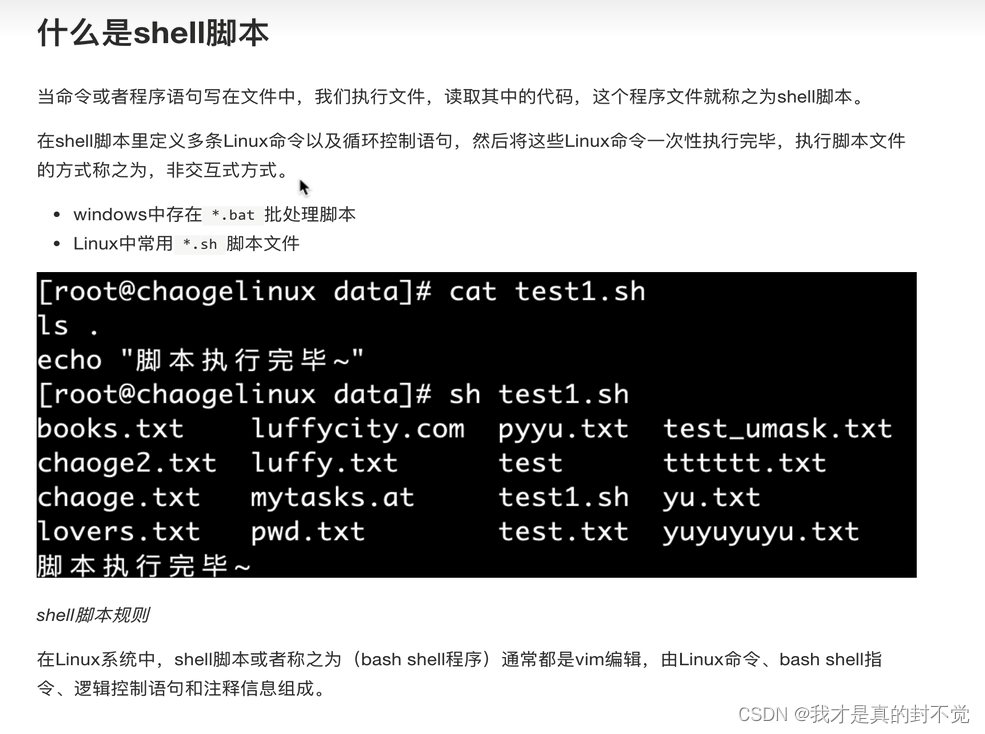 Shell最全笔记 就决定用你了