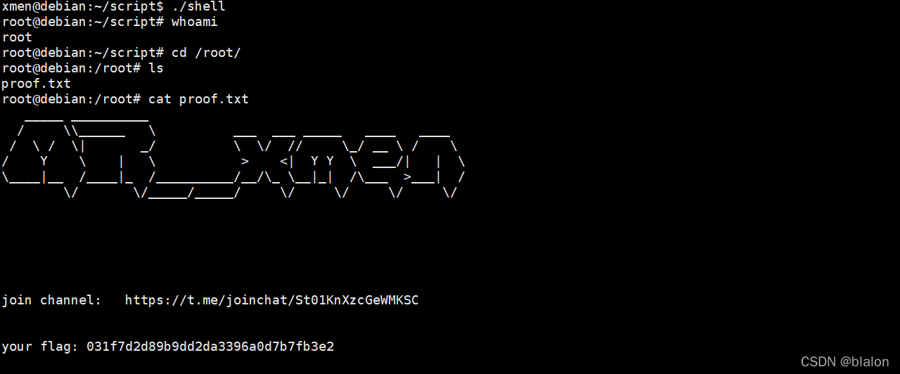Vulnhub渗透测试 DR4G0N B4LL: 1