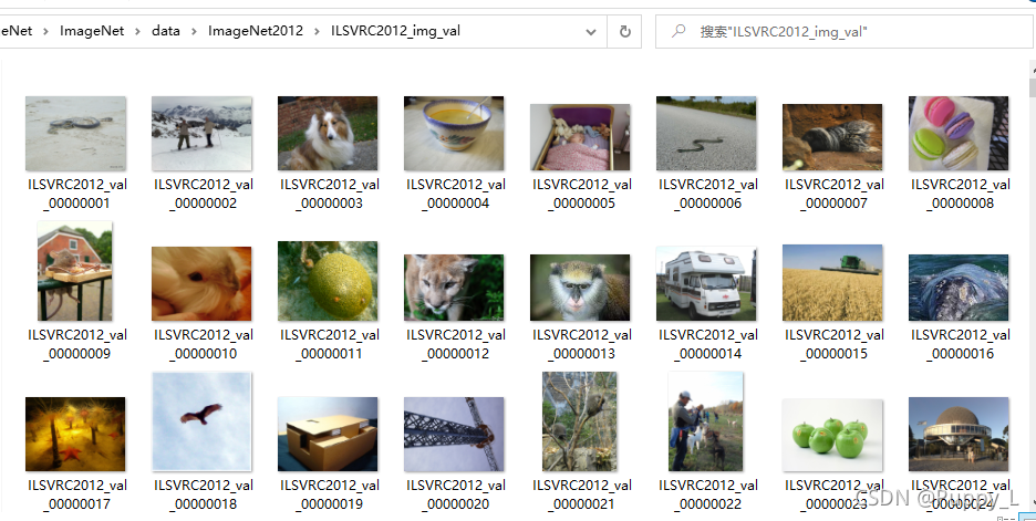 ImageNet数据集简介与下载详细步骤-CSDN博客