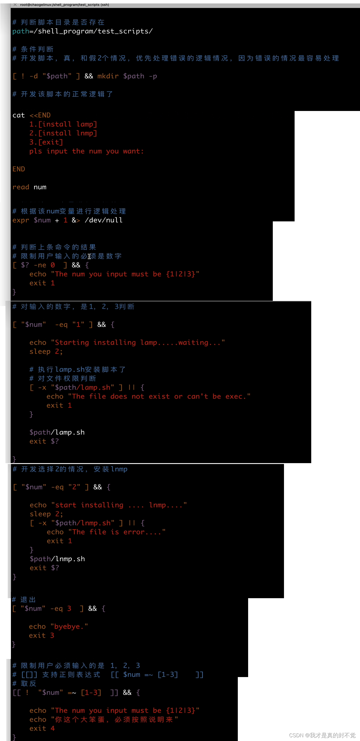 Shell最全笔记 就决定用你了