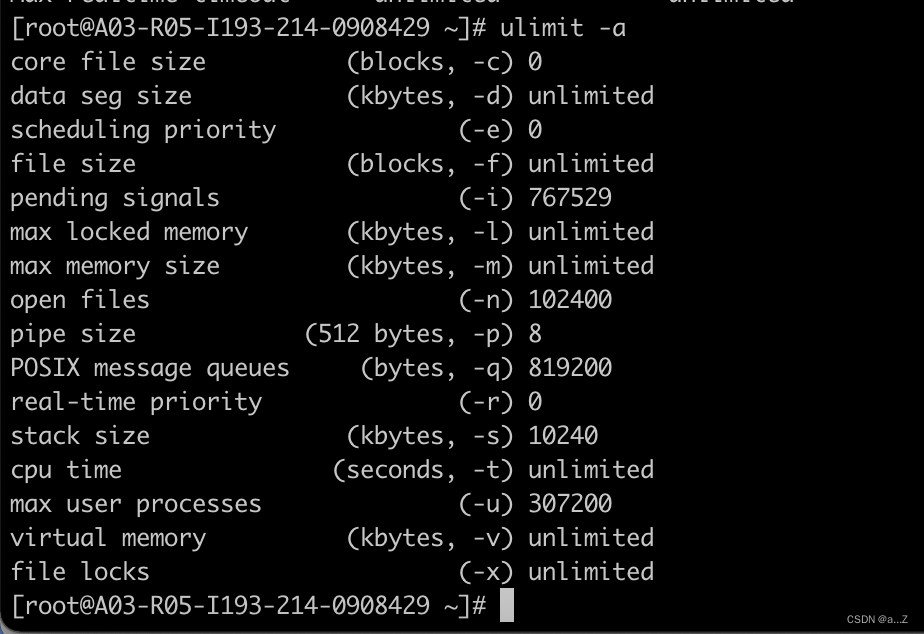 Socket: Too Many Open Files-CSDN博客