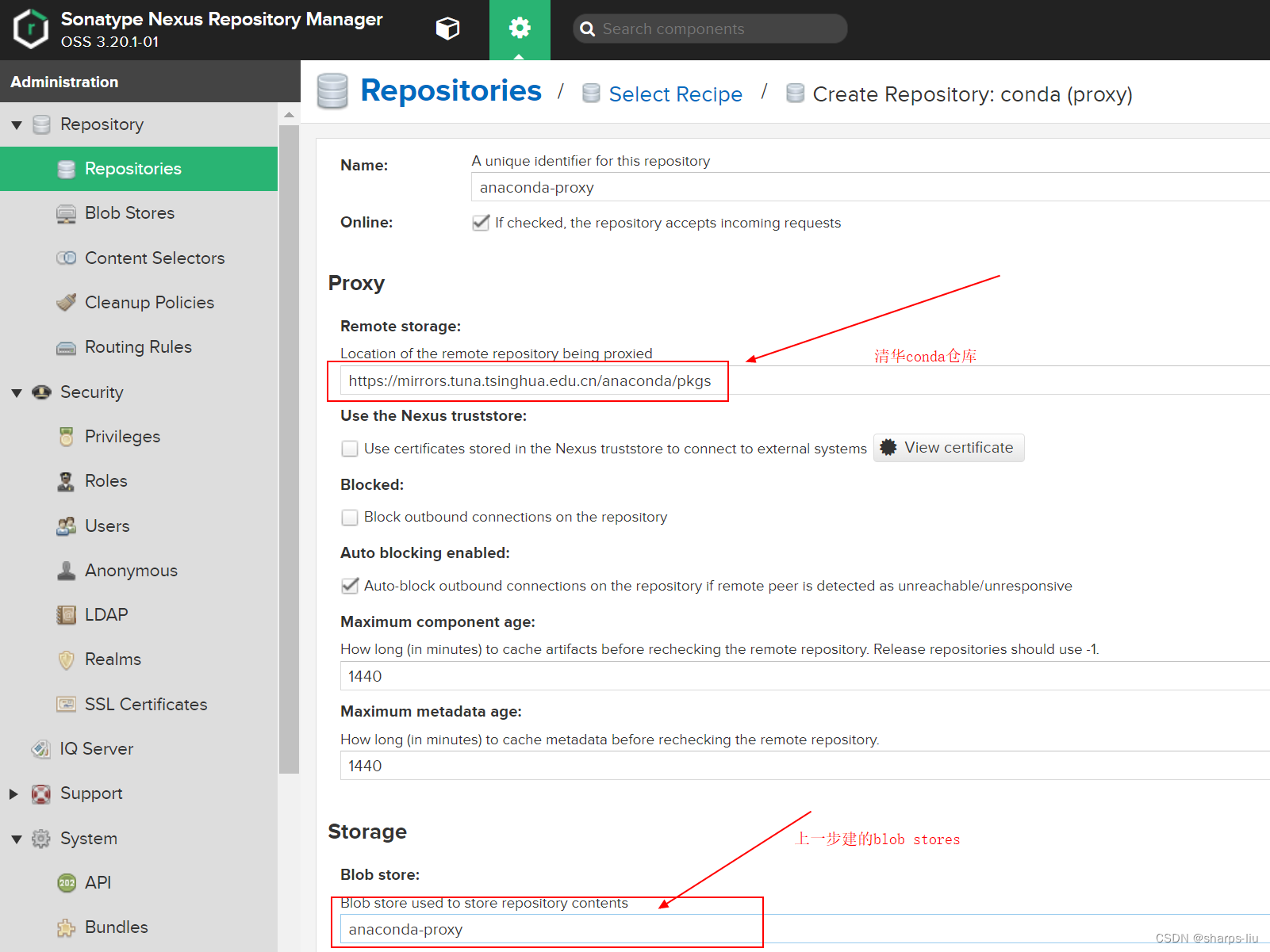 nexus-conda-nexus-proxy-sharps-liu-csdn