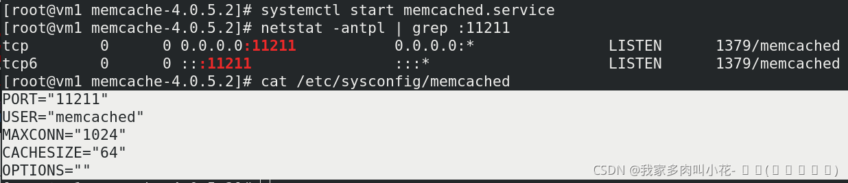 PHP+Nginx服务部署_php+nginx项目部署-CSDN博客