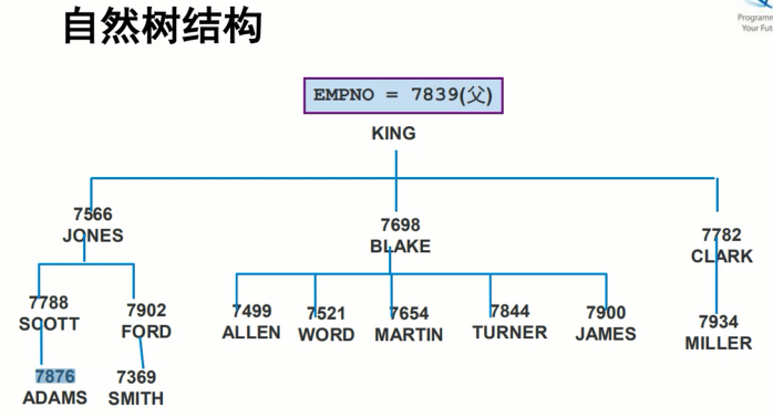 自然树结构