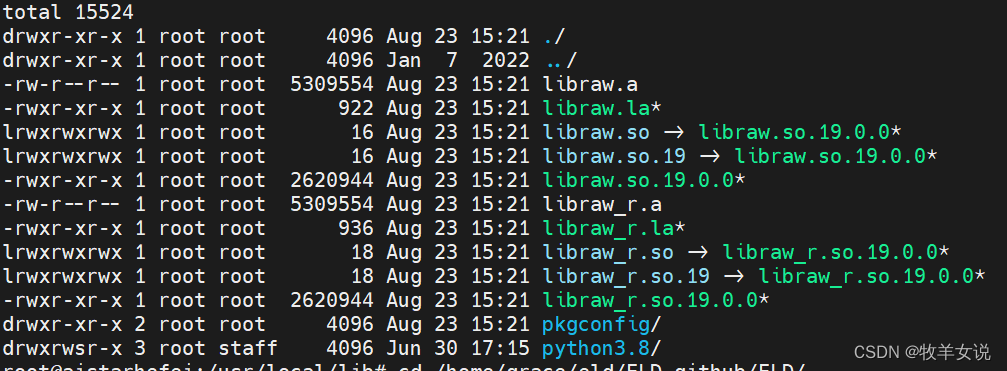 在Ubuntu上安装LibRaw_libraw安装-CSDN博客