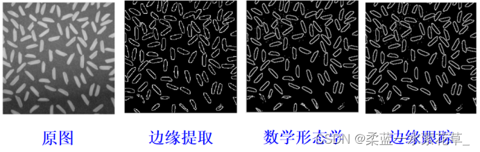 实验结果