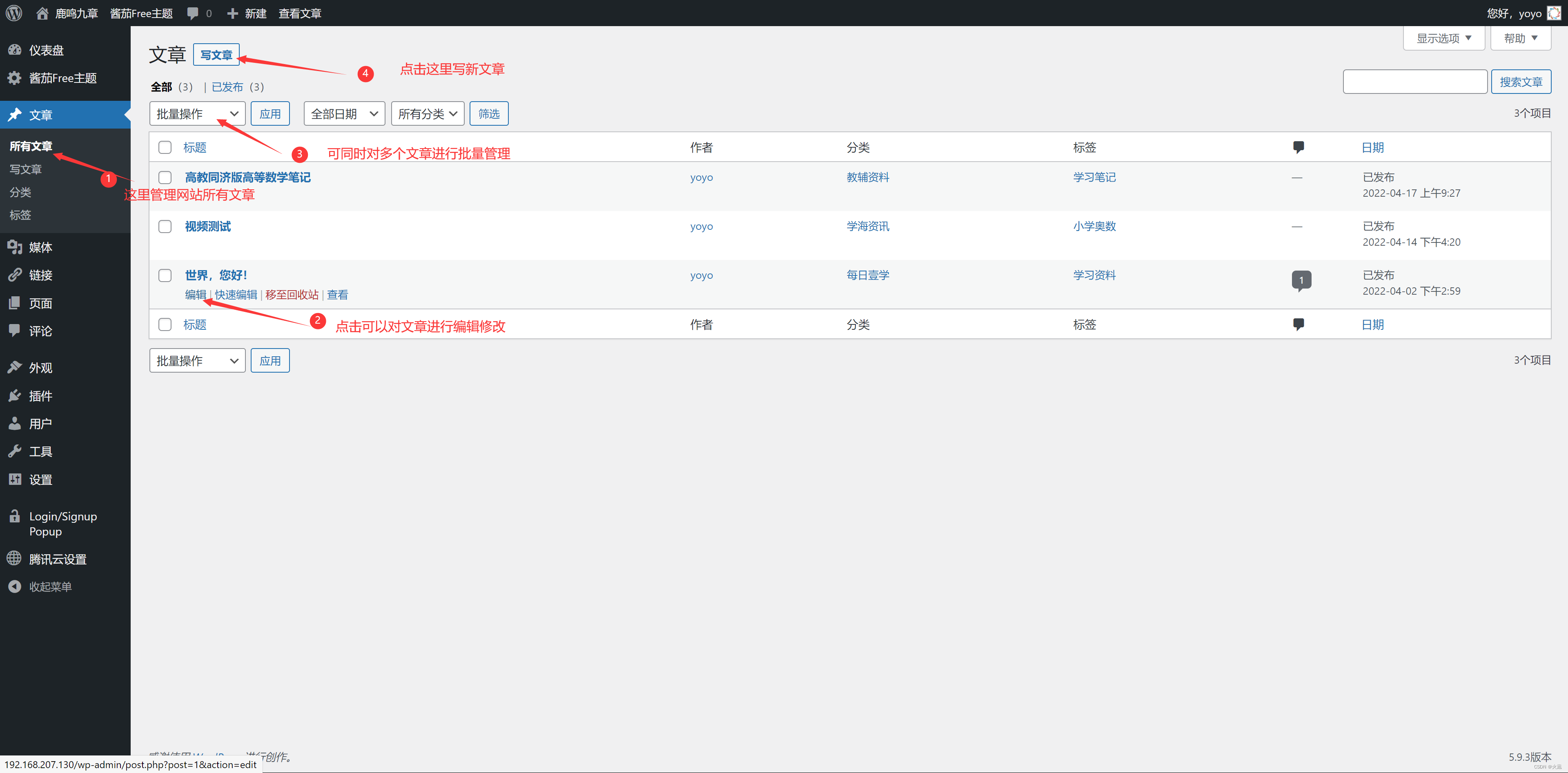 Wordpress文章编辑和发布01