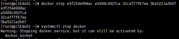 Warning: Stopping docker.service, but it can still be activated by: docker.socket解决方案