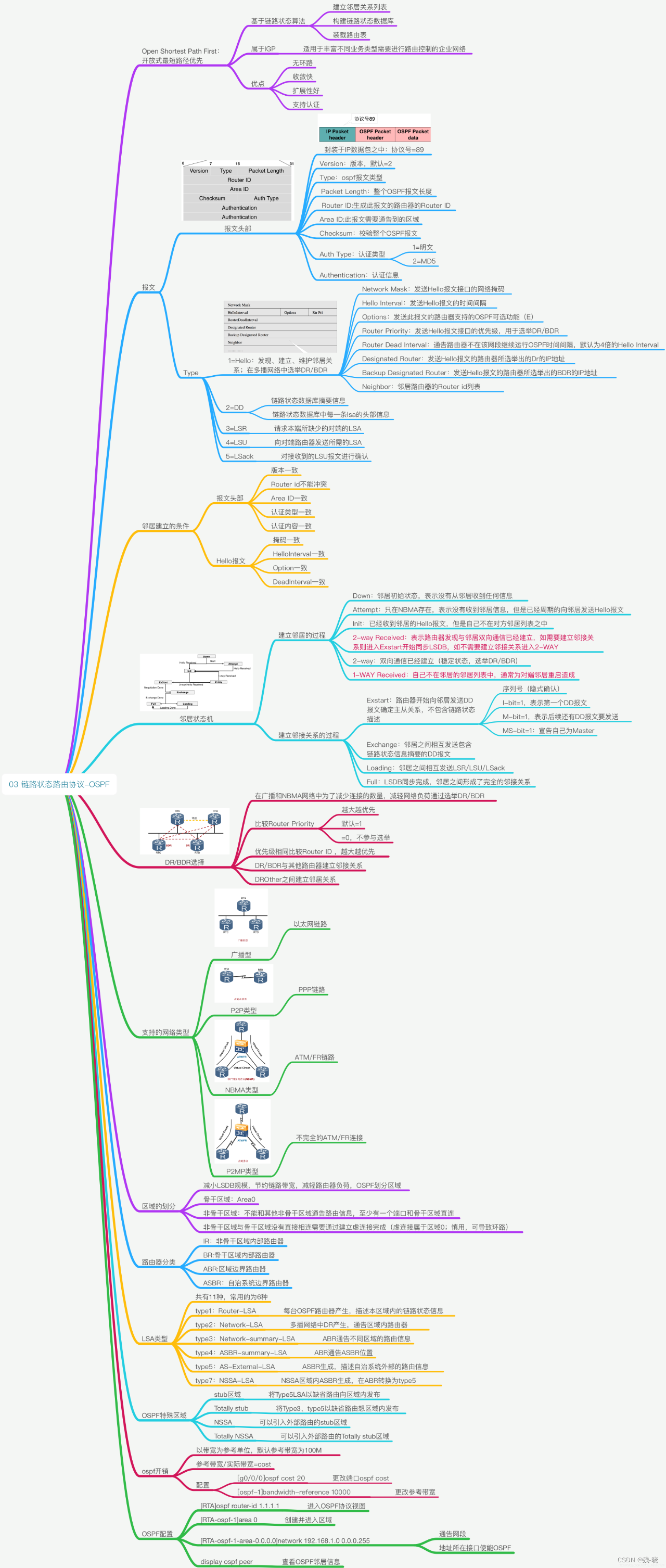 Link State Protocol—OSPF