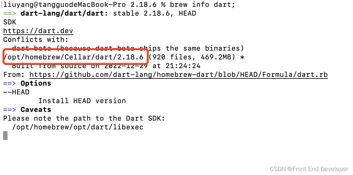 mac vscode安装dart